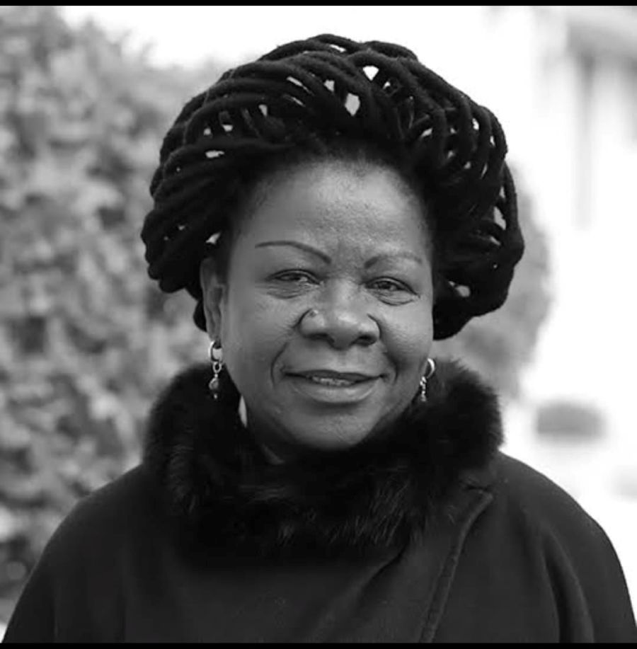 Chapo destaca Luísa Diogo como exemplo de patriotismo e serviço ao Estado