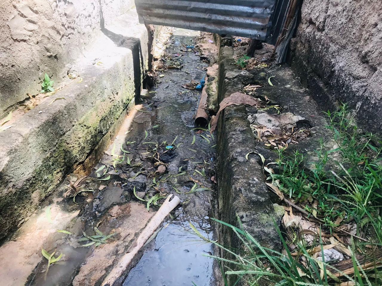 Sumeya e Peixaria chinesa estão a perigar o meio ambiente em Mutauanha