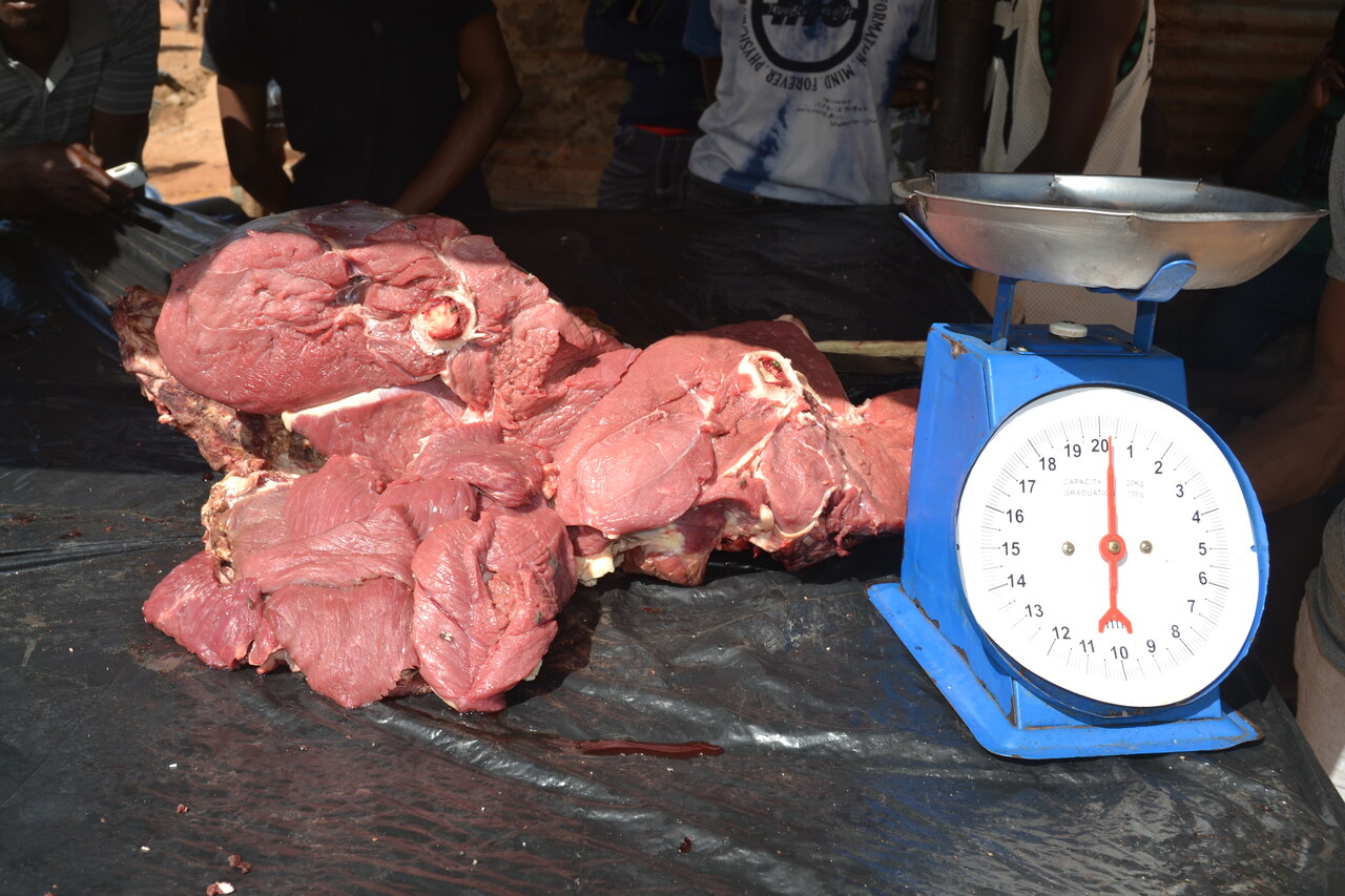 Matadouros clandestinos têm dias contados na cidade de Nampula