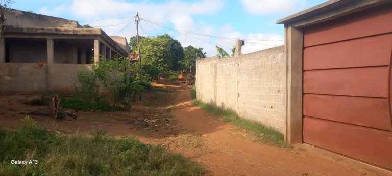 Murrapaniua continua a sofre com o “G-15”