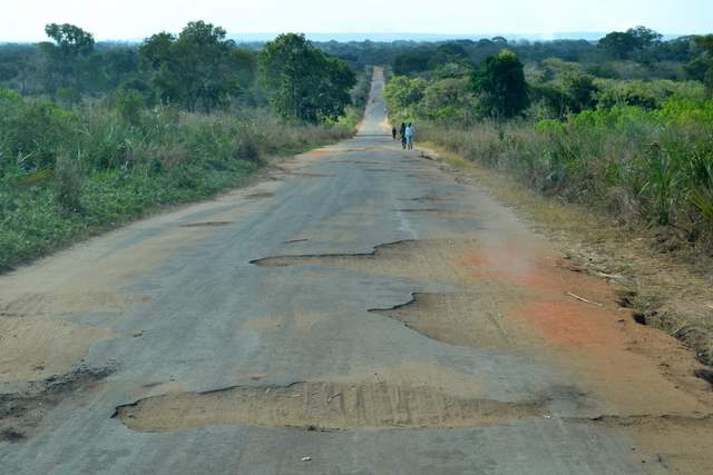 Falta de corte de capim nas bermas das estradas contribui para acidentes de viação em Nampula Falta de corte de capim nas bermas das estradas contribui para acidentes de viação em Nampula
