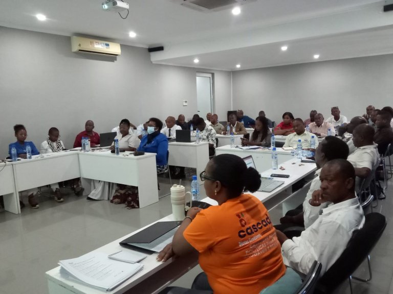 CASCADE capacita 33 planificadores em Nampula