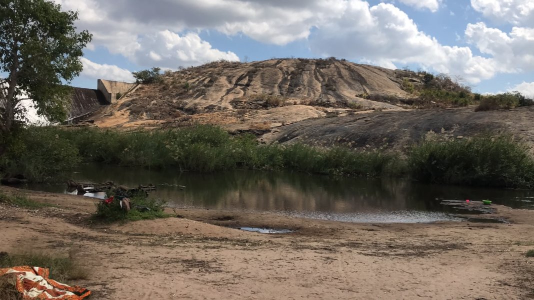 Crocodilo mata mulher no rio Monapo