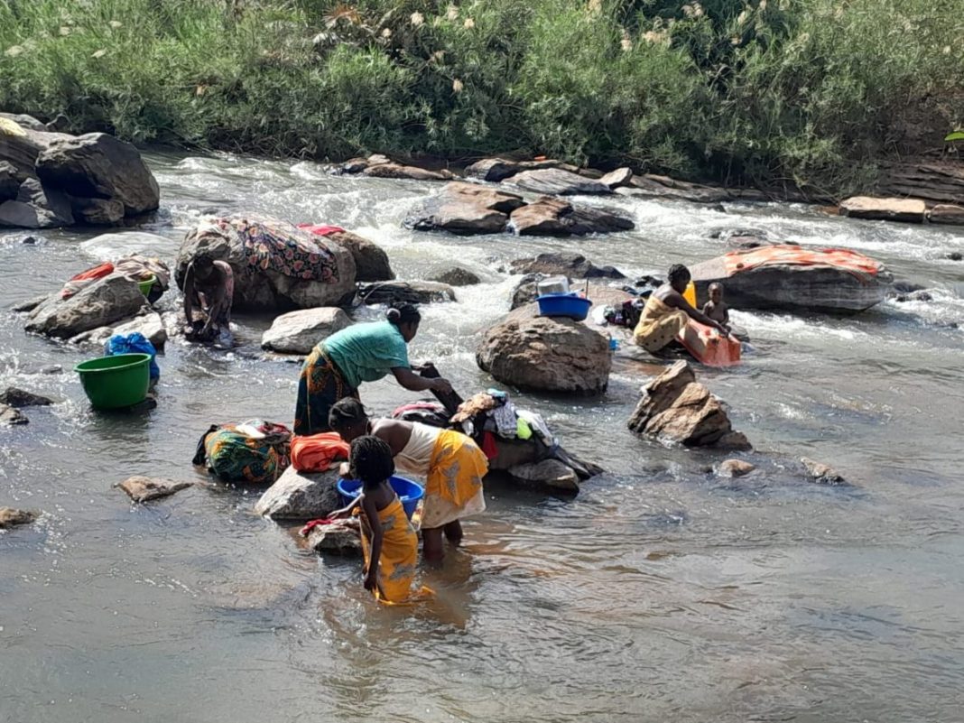 Crocodilos mataram 5 pessoas em Malema Crocodilos mataram 5 pessoas em Malema