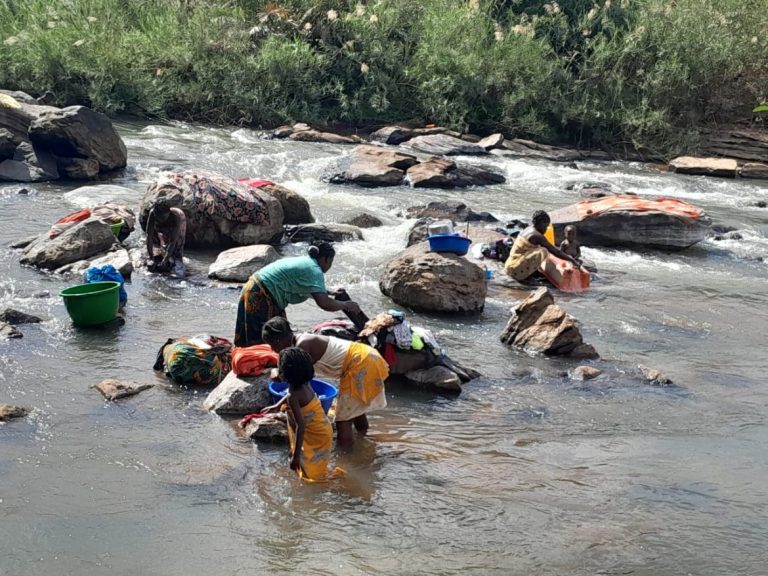 Crocodilos mataram 5 pessoas em Malema