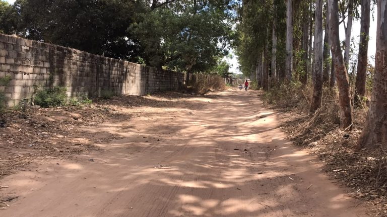 Mata do Vieira transforma-se em corredor de medo e já há registo de mortes