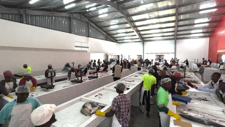Mercado do Peixe da cidade de Nampula com melhores condições de higiene e saneamento do meio