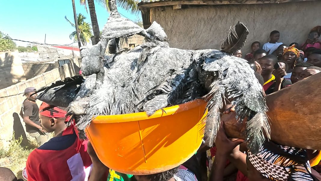 Insólito em Napipine: Pato assado cai de avião mágico Insólito em Napipine: Pato assado cai de avião mágico