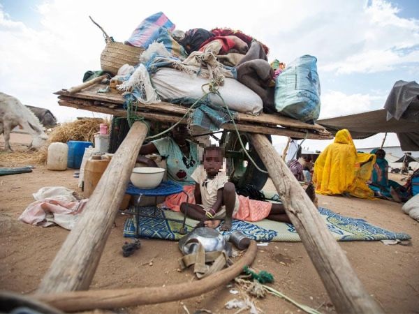 El Niño pode levar 8 milhões de crianças à fome aguda na África Oriental e Austral até 2027 El Niño pode levar 8 milhões de crianças à fome aguda na África Oriental e Austral até 2027