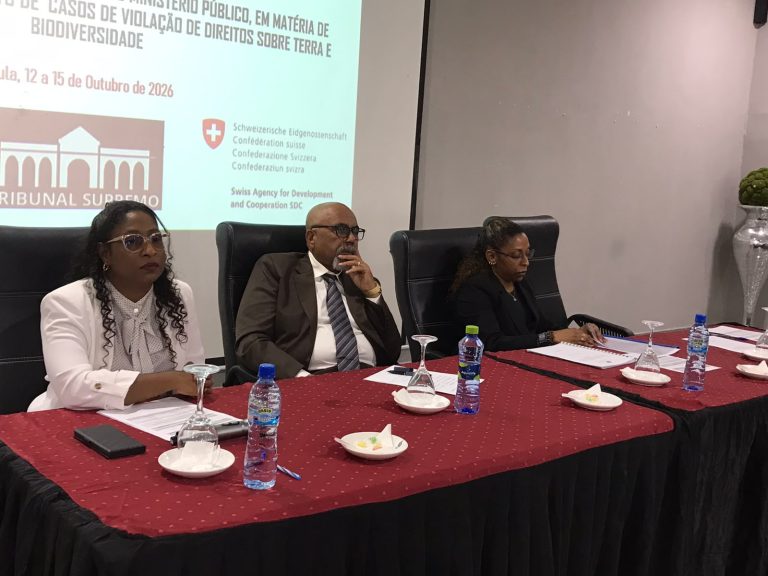 Segundo o governador de Nampula: Investidores exigem lei clara, decisão rápida e justiça imparcial
