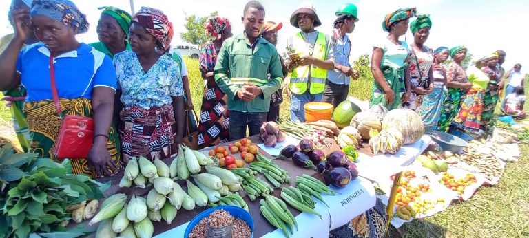 Mulheres rurais da Zambézia querem mais apoio para produzir alimentos
