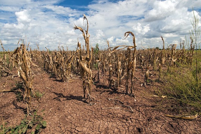 Nampula prepara plano de Acção para responder o El Niño