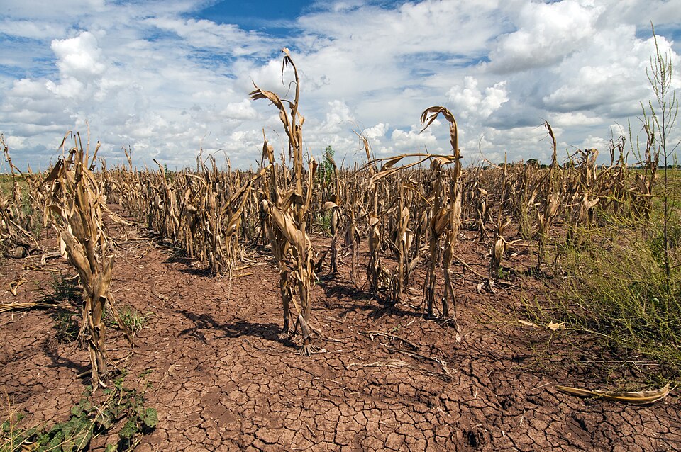 Nampula prepara plano de Acção para responder o El Niño Nampula prepara plano de Acção para responder o El Niño
