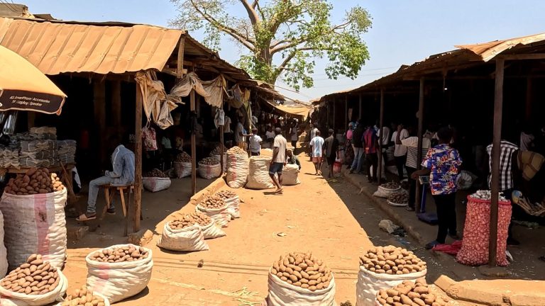 No mercado de Waresta: Batata reno dispara de 8 mil para 14 mil meticais a saco de 300 quilograma